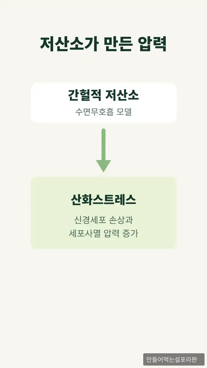 수면무호흡 관련 전임상 논문까지 슬립 1228의 학술 근거를 확장했습니다 - 2