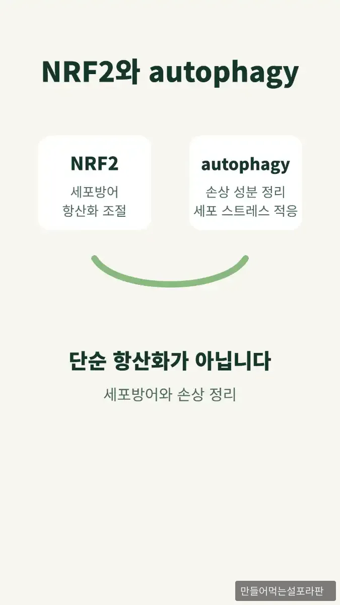 수면무호흡 관련 전임상 논문까지 슬립 1228의 학술 근거를 확장했습니다 - 3