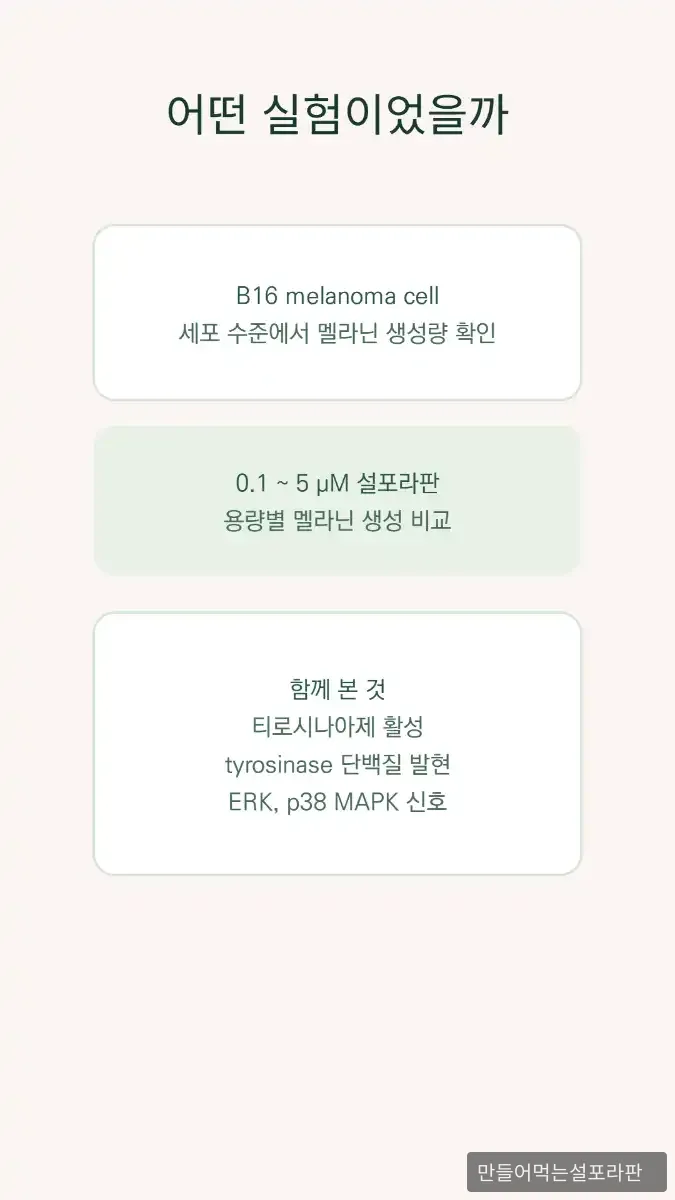 미백 기전 논문을 바탕으로 스킨 3607의 학술 근거를 확장했습니다 - 2